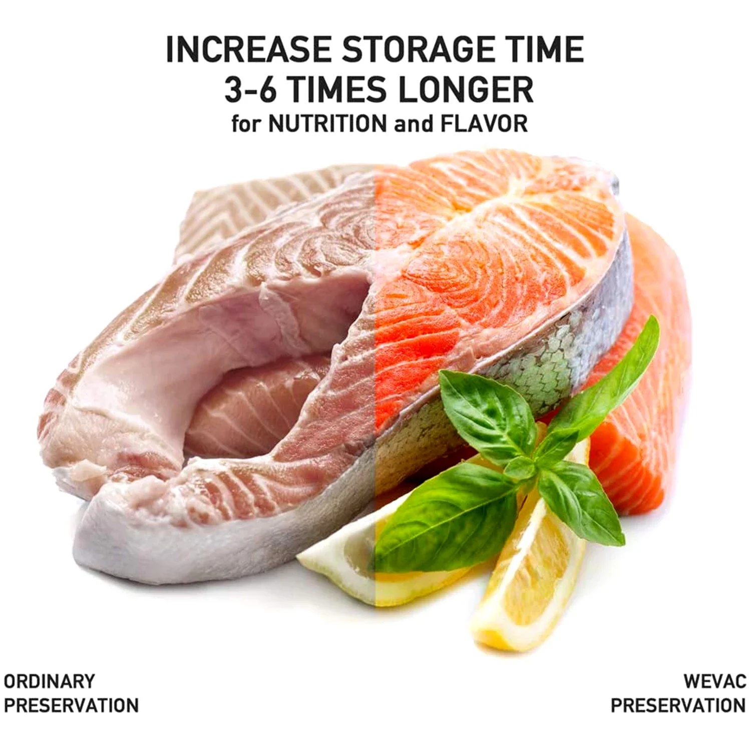أكياس مكنسة كهربائية سعة 100 ل - مراجعة Meal Prep Or Prep Meal وسعره